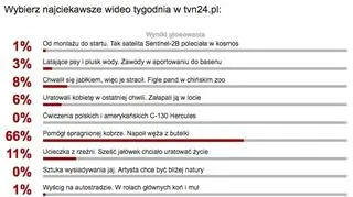 Wybraliście najciekawsze wideo tygodnia w tvn24.pl