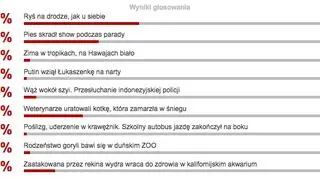 Wybraliście wideo tygodnia