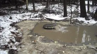 Wyciek ścieków do Jeziora Klasztornego Małego w Kartuzach