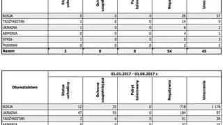 Wydane decyzje w sprawie o udzielenie ochrony międzynarodowej