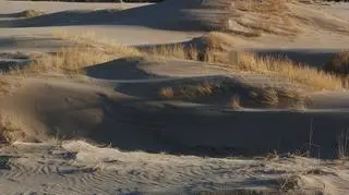 Wydmy Słowińskiego Parku Narodowego