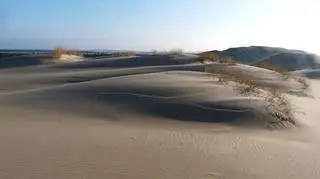 Wydmy Słowińskiego Parku Narodowego