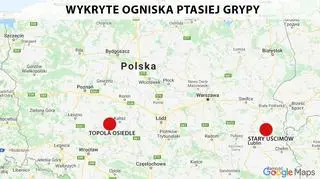Wykryte ogniska ptasiej grypy w Polsce 