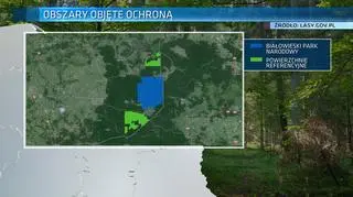 Wyłączono dla ludzi kilka tysięcy hektarów lasów