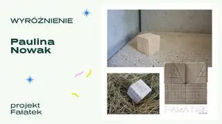 Wyróżniony projekt - "Fałatek"