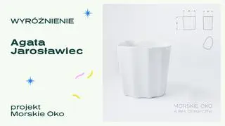 Wyróżniony projekt - "Morskie Oko"