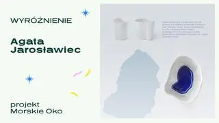 Wyróżniony projekt - "Morskie Oko"