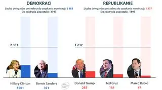 Wyścig o partyjne nominacje trwa