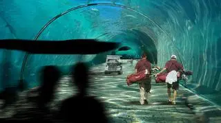 Wyspy będą połączone podwodnymi tunelami, które mają być niczym naturalne akwaria z rafami koralowymi za szybą (fot. waterstudio.nl)