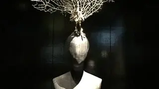 Wystawa "Alexander McQueen: Savage Beauty"
