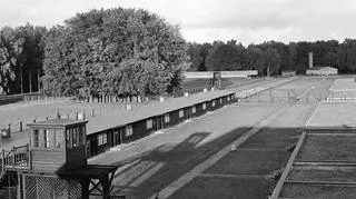 Wystawa zostanie otwarta w 69