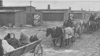 Wywożenie wyzwolonych więźniów z terenu dawnego KL Auschwitz II-Birkenau do okolicznych szpitali.