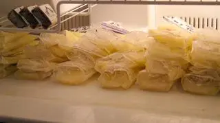 Z tego mleka powstaje ser (danielangerer.com)