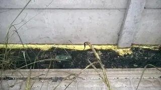 Z terenu ocynkowni wypływa żółta substancja