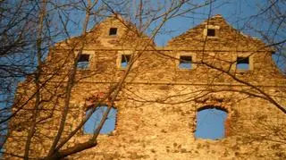 Zamek Gryf bez anten 