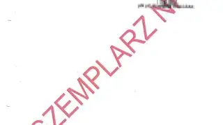 Zarządzenie wykonania lotu po korekcie