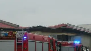 Zawalona konstrukcja dachu przygniotła część owczego stada