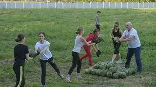 Zbiór arbuzów na terenie posiadłości Łukaszenki 