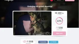 Zbiórka miłośników zwierząt dla staruszki z Knurowa