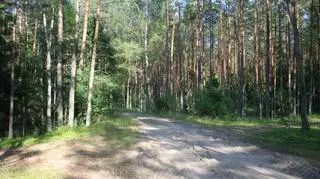 Zbrodnia w Piaśnicy