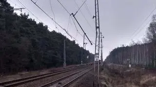 Zderzenie ciężarówki z pociągiem 