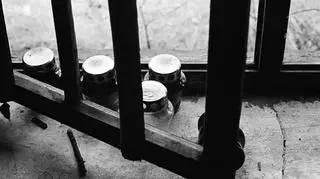 Zdjęcia powstały podczas warsztatów na terenie Sztutowa zorganizowanych we wrześniu 2013 r