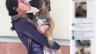 Zdjęcia psów opublikowano na Facebooku