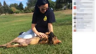 Zdjęcia psów opublikowano na Facebooku