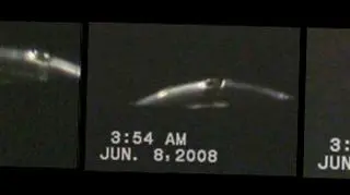 Zdjęcia - zrobione przy dużym powiększeniu - są bardzo wyraźne (www.siriusufo.org)