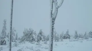 Zdjęcie internauty - Karkonosze drogowskaz Szrenica-Śnieżka