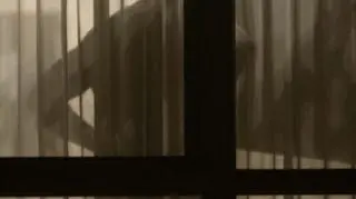 Zdjęcie "Neighbors #10"