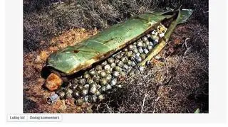 Zdjęcie pojawiło się na profilu agencji informacyjnej Regnum