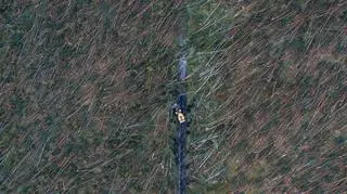Zdjęcie pojedyncze - II miejsce w kategorii ŚRODOWISKO. Rytel. Harwester toruje drogę przez las po nawałnicy, która powaliła setki hektarów drzew. 18 sierpnia 2017