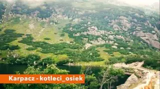 Zdjęcie wysłane przez użytkownika kotleci_osiek