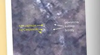 Zdjęcie ze strony Forda Prefecta, na którym bloger wskazał, że to, co profesor wziął za powaloną brzozę, to śmieci 