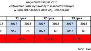 Zestawienie liczby wystawionych mandatów karnych 