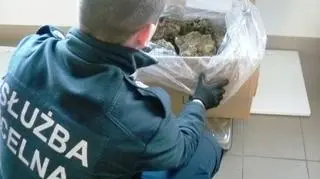 Zgłosili, że wiozą kamienie do akwarium