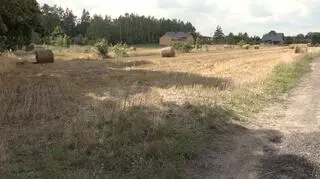 Ziemia jest w granicach Koluszek