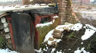 Ziemianka pana Ryszarda