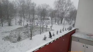 Zimowe grabienie liści na Ratajach 