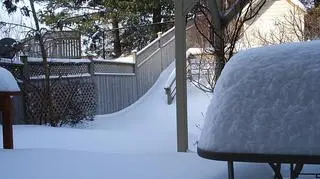 Zimowe Toronto/ fot. Miłosz Karbowski