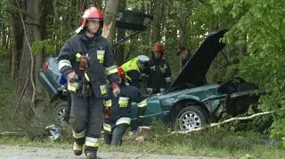 Zjechał z drogi i uderzył w drzewo