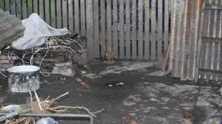 Zlikwidowana hodowla zwierząt w Zabrzu