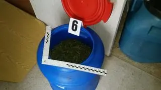 Znalezione narkotyki