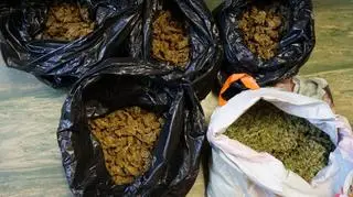 Znaleziono narkotyki warte 400 tys. zł