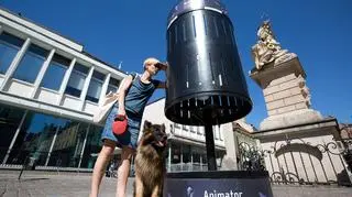 Zootrop z ukrytą animacją