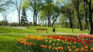Zrewitalizowany park w Skarszewach