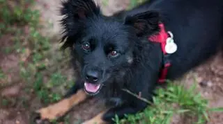 Zrzut ekranu 2016-08-28 o 21