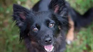 Zrzut ekranu 2016-08-28 o 21