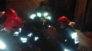 Zwierzakowi pomogli strażacy